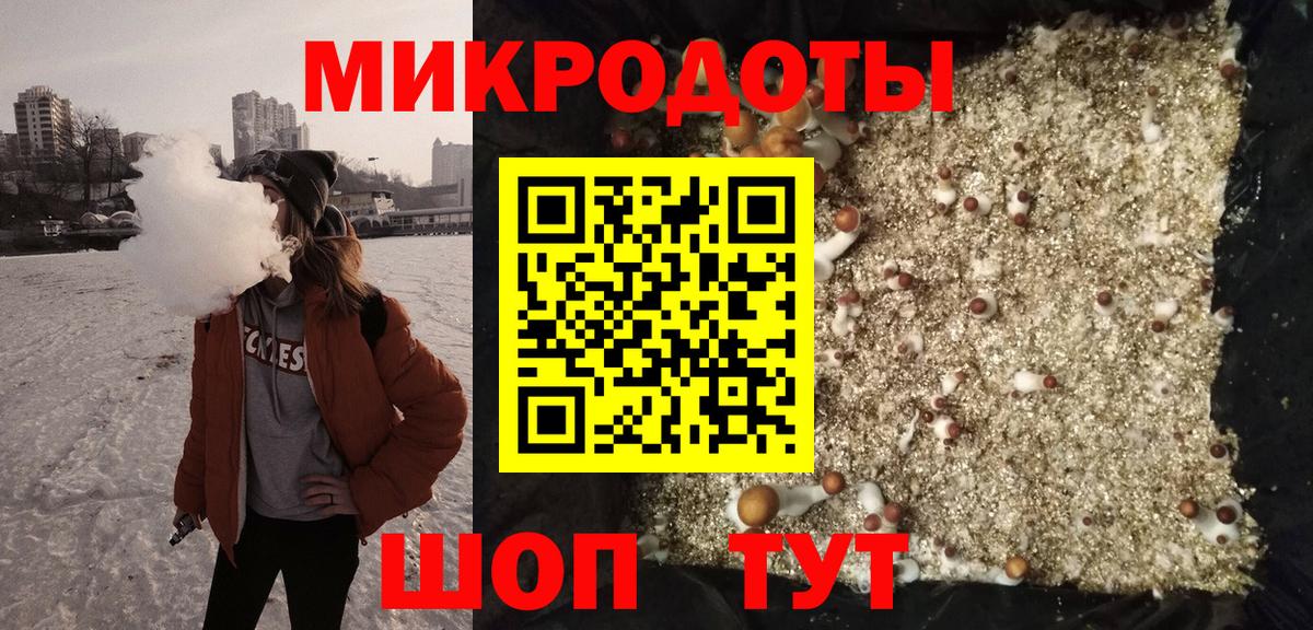 Советск  Галлюциногенные грибы прущие грибы  Вход с VPN 